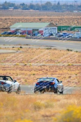 media/Nov-16-2024-Extreme Speed (Sat) [[6587d07cc4]]/Gold Group/Session 1 (Turn 2)/